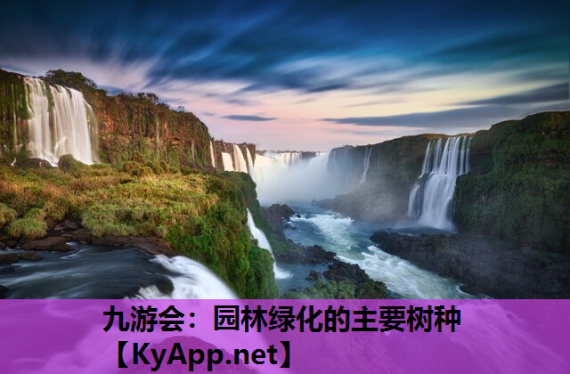 九游会：园林绿化的主要树种