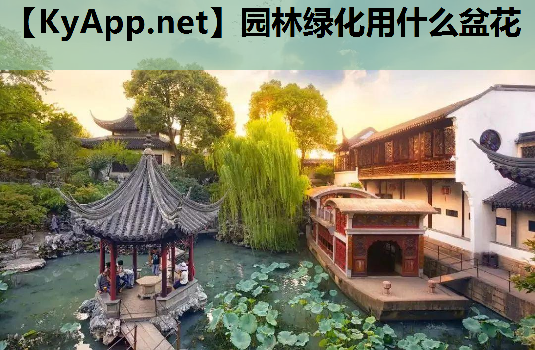 园林绿化用什么盆花