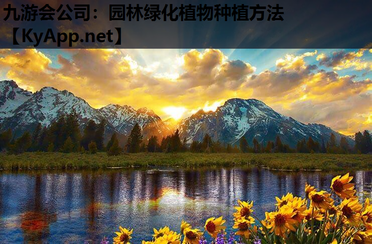 九游会公司：园林绿化植物种植方法