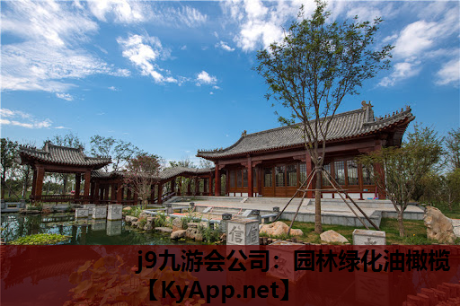j9九游会公司：园林绿化油橄榄