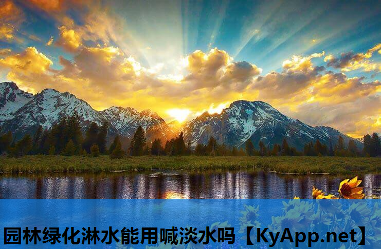 园林绿化淋水能用喊淡水吗