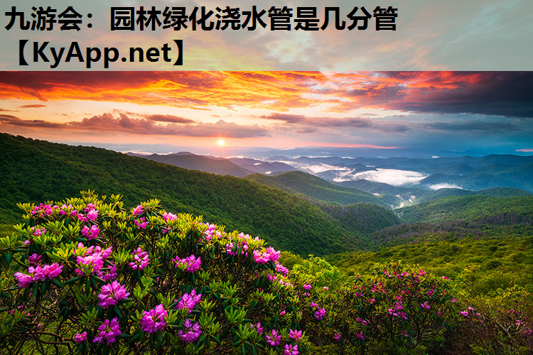 九游会：园林绿化浇水管是几分管