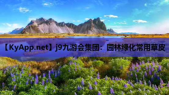 j9九游会集团：园林绿化常用草皮