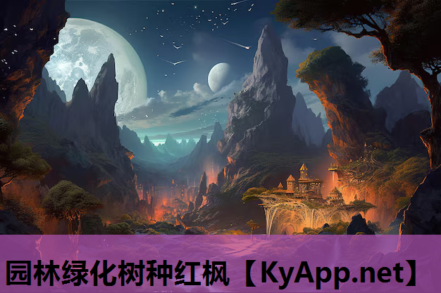 园林绿化树种红枫
