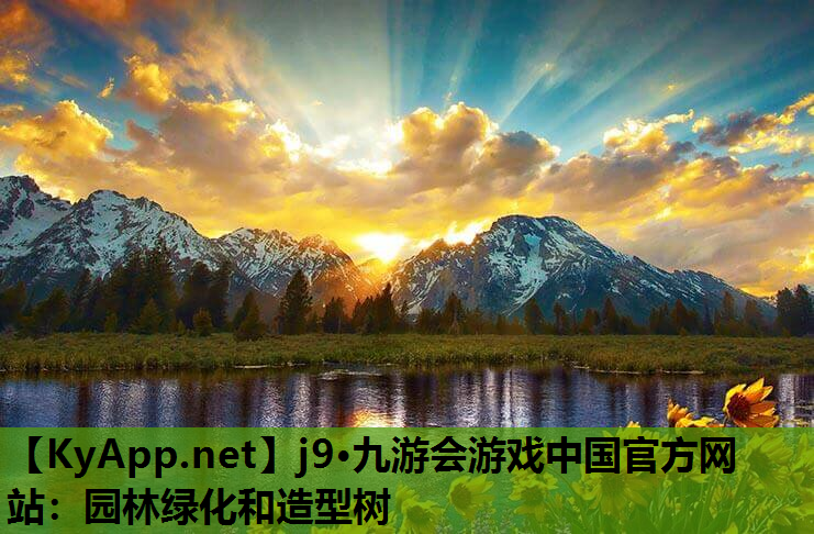 j9·九游会游戏中国官方网站：园林绿化和造型树