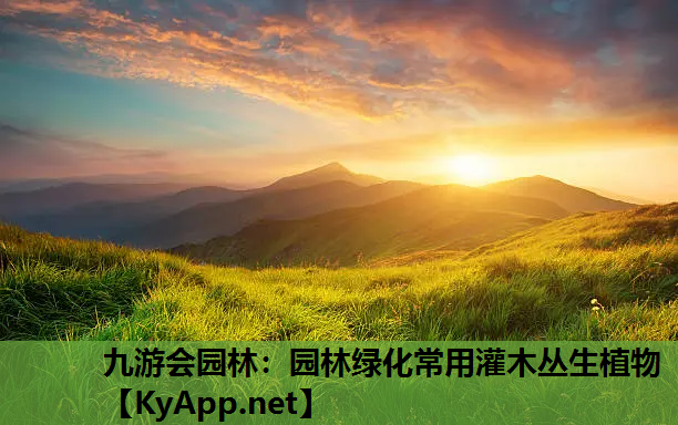 九游会园林：园林绿化常用灌木丛生植物