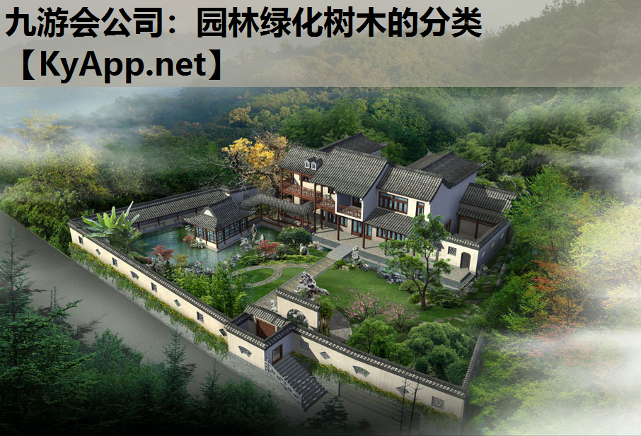 九游会公司：园林绿化树木的分类