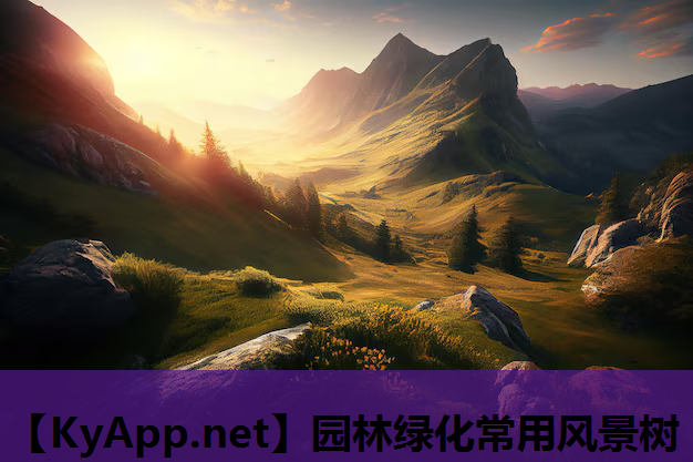 园林绿化常用风景树