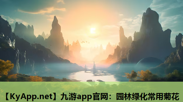 九游app官网：园林绿化常用菊花