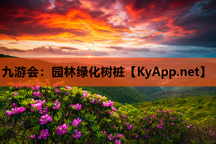 九游会：园林绿化树桩
