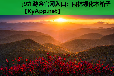 j9九游会官网入口：园林绿化木箱子