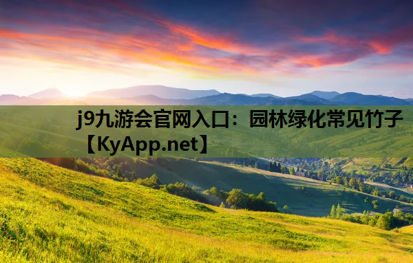 j9九游会官网入口：园林绿化常见竹子