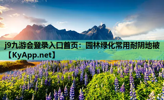 j9九游会登录入口首页：园林绿化常用耐阴地被