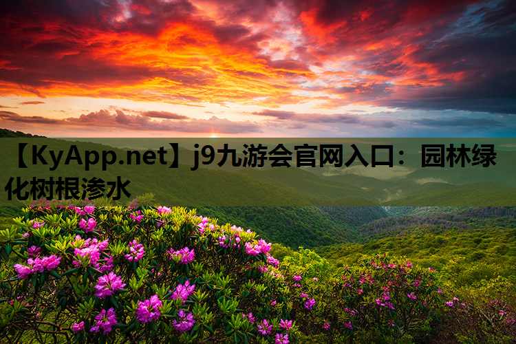 j9九游会官网入口：园林绿化树根渗水