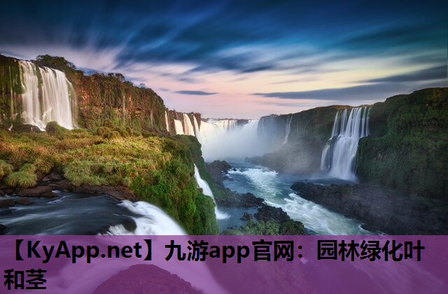 九游app官网：园林绿化叶和茎