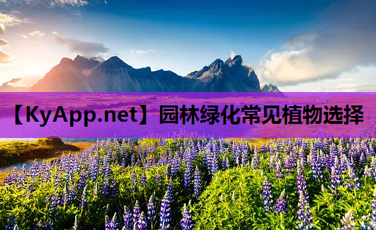 园林绿化常见植物选择