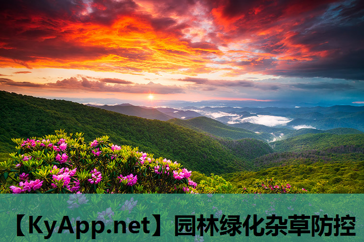 园林绿化杂草防控