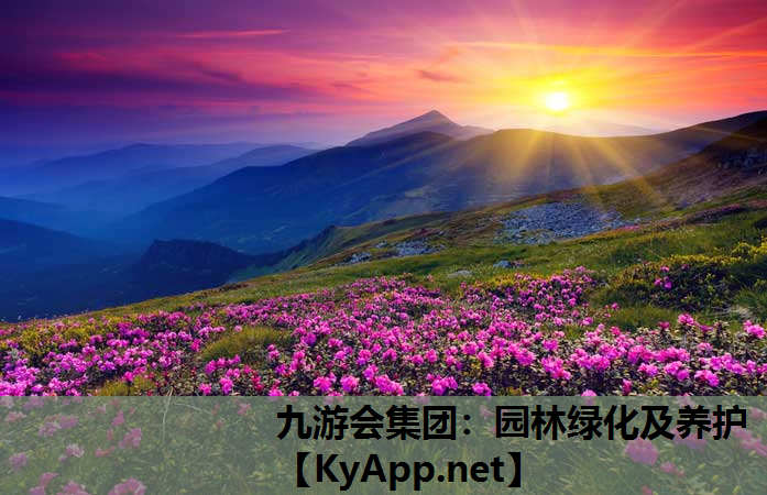 九游会集团：园林绿化及养护