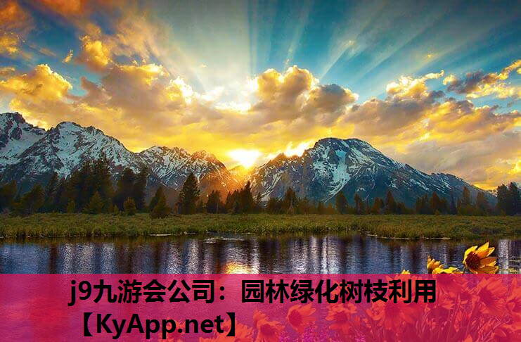 j9九游会公司：园林绿化树枝利用