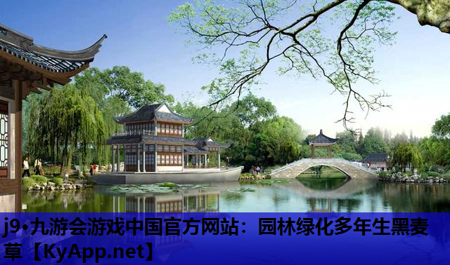 j9·九游会游戏中国官方网站：园林绿化多年生黑麦草