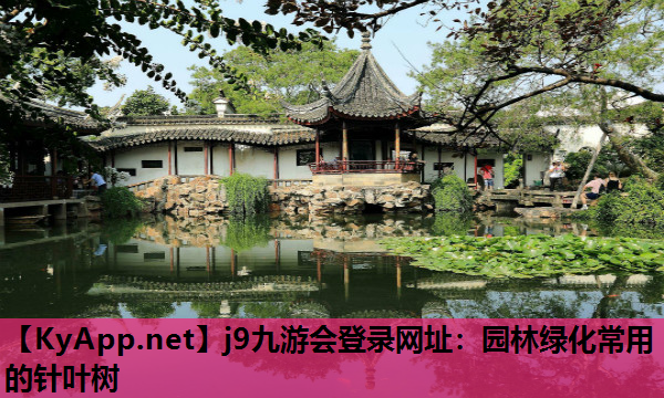 j9九游会登录网址：园林绿化常用的针叶树