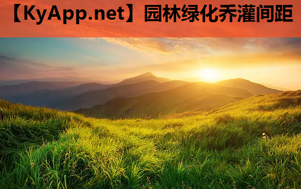 园林绿化乔灌间距