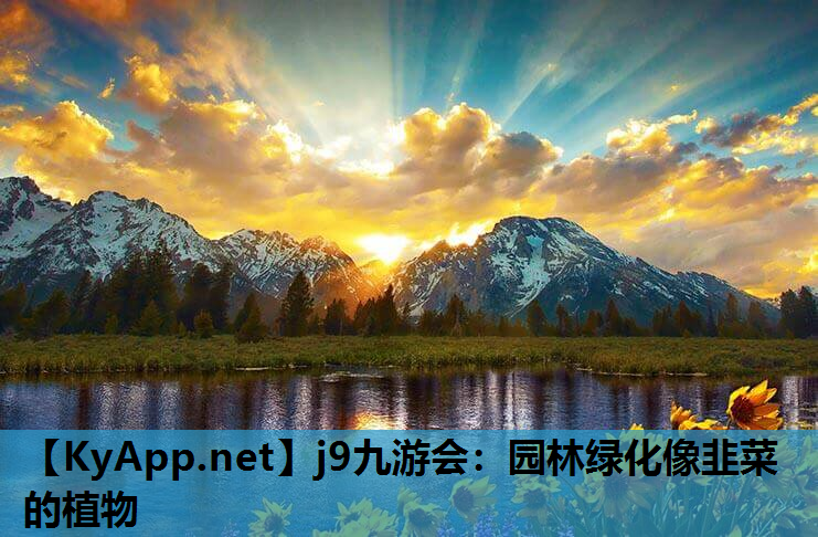 j9九游会：园林绿化像韭菜的植物