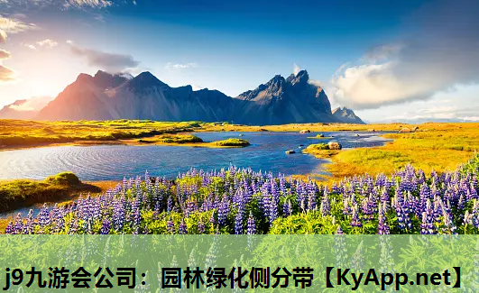 j9九游会公司：园林绿化侧分带