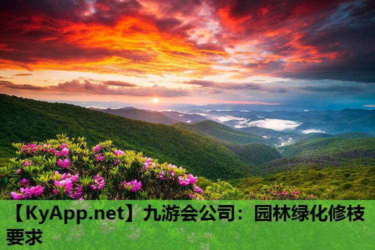 九游会公司：园林绿化修枝要求