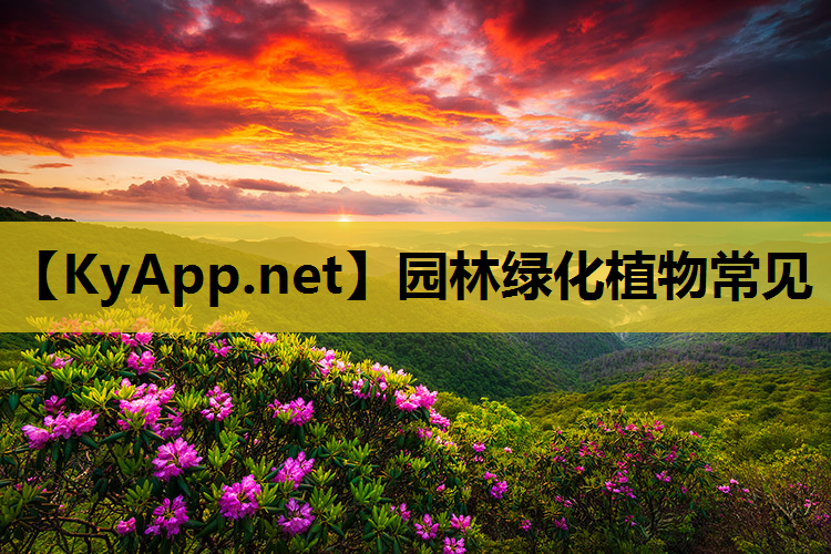 园林绿化植物常见