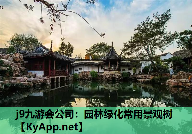 j9九游会公司：园林绿化常用景观树