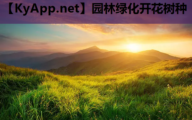 园林绿化开花树种