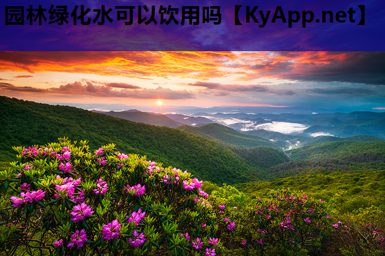 园林绿化水可以饮用吗