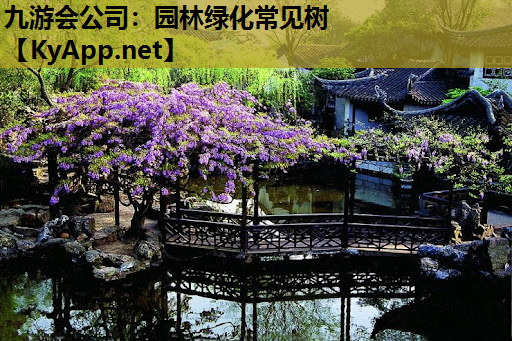 九游会公司：园林绿化常见树