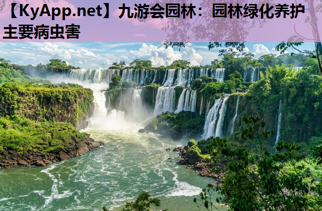 九游会园林：园林绿化养护主要病虫害