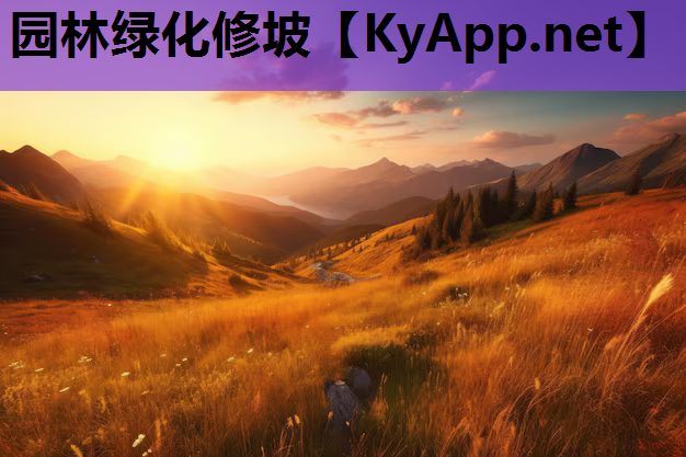 园林绿化修坡