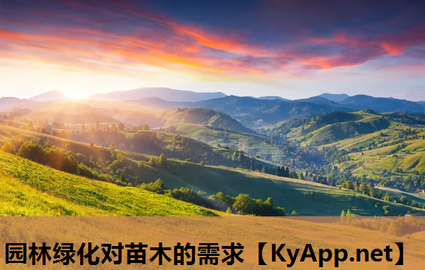 园林绿化对苗木的需求