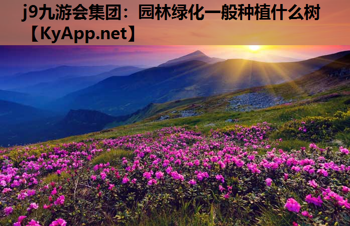 j9九游会集团：园林绿化一般种植什么树