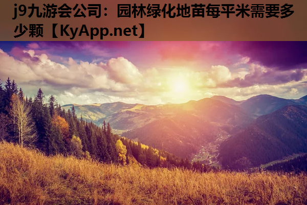 j9九游会公司：园林绿化地苗每平米需要多少颗