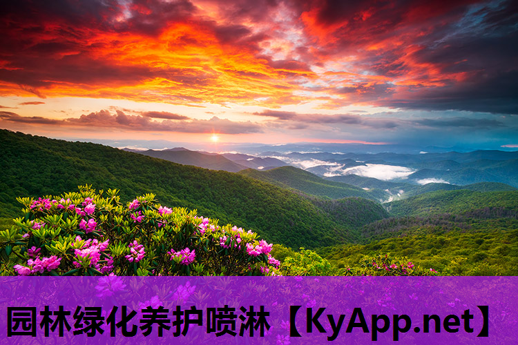 园林绿化养护喷淋