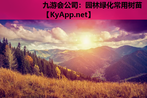 九游会公司：园林绿化常用树苗