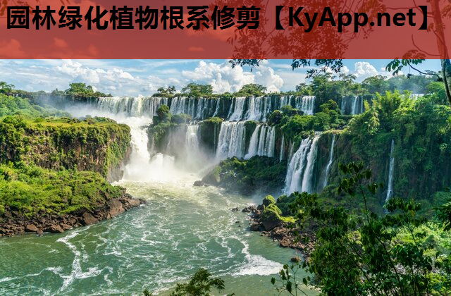 园林绿化植物根系修剪
