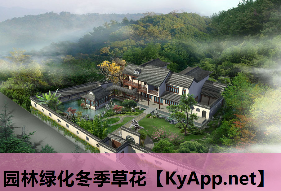 园林绿化冬季草花