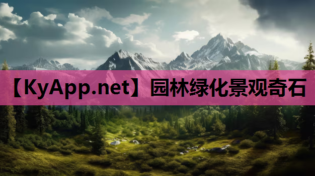 园林绿化景观奇石