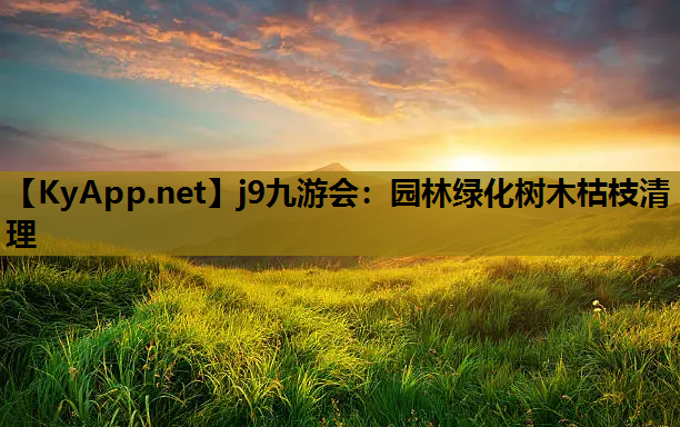 j9九游会：园林绿化树木枯枝清理