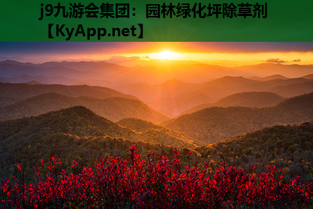 j9九游会集团：园林绿化坪除草剂