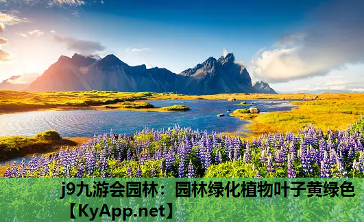 j9九游会园林：园林绿化植物叶子黄绿色