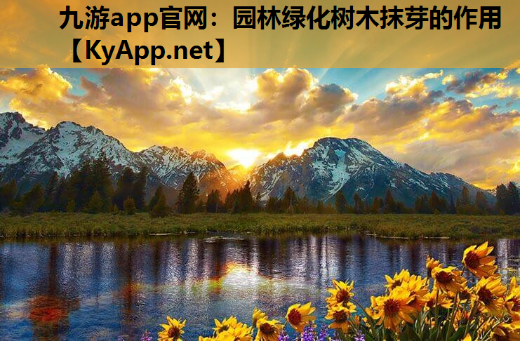九游app官网：园林绿化树木抹芽的作用