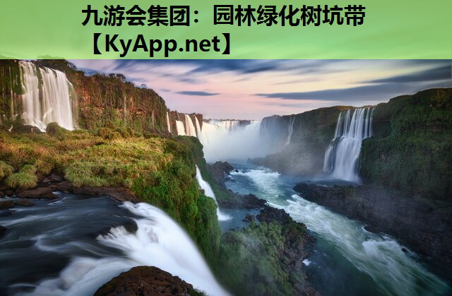 九游会集团：园林绿化树坑带