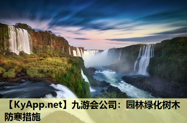 九游会公司：园林绿化树木防寒措施